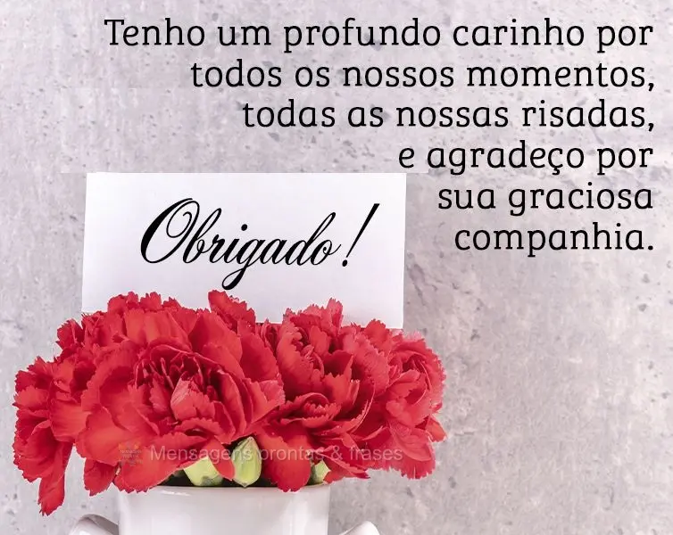 Tenho um profundo carinho por todos os nossos momentos, todas as nossas risadas, e agradeço por sua graciosa companhia. Obrigado!