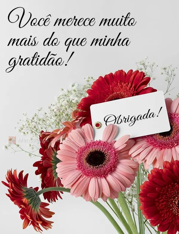 Você merece muito mais do que minha gratidão! Obrigada!