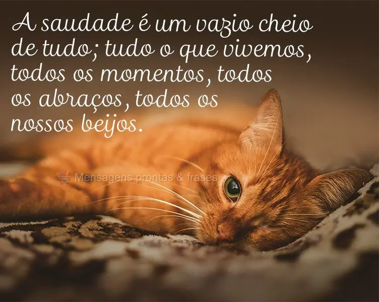 A saudade é um vazio cheio de tudo... Tudo o que vivemos, todos os momentos, todos os abraços, todos os nossos beijos.