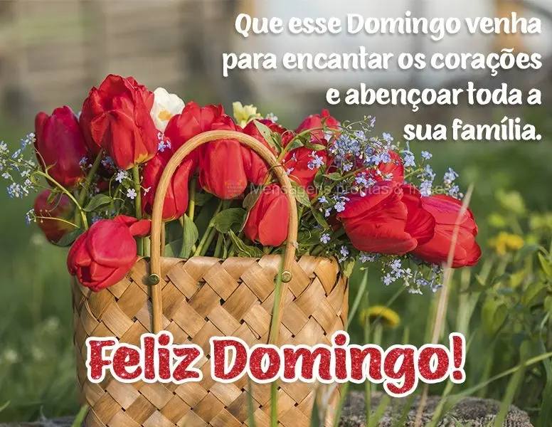 Que esse Domingo venha para encantar os corações e abençoar toda a sua família.  Feliz Domingo!