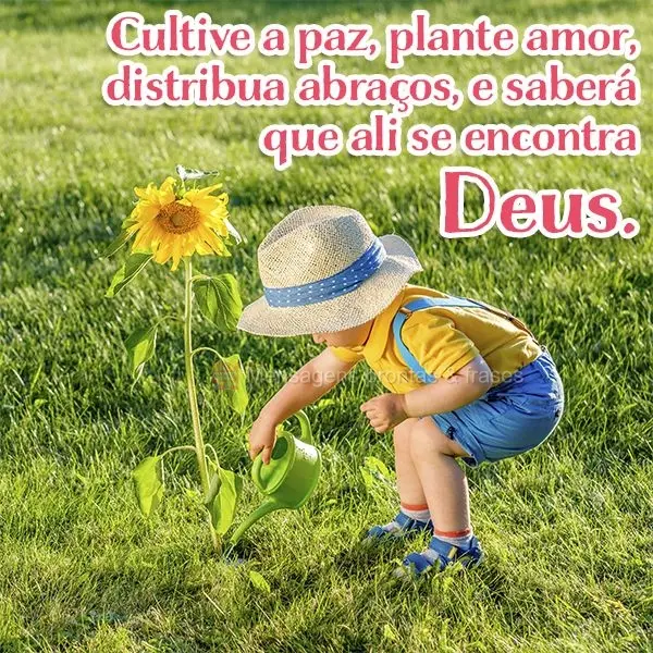 Cultive a paz, plante amor, distribua abraços, e saberá que ali se encontra Deus.