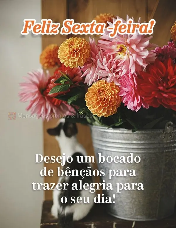 Desejo um bocado de bênçãos para trazer alegria para o seu dia!  Feliz Sexta -feira!