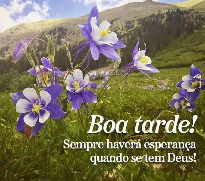 Sempre haverá esperança quando se tem Deus! Boa tarde!