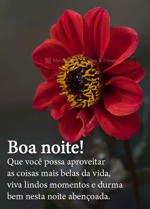 Que você possa aproveitar as coisas mais belas da vida. Viva lindos momentos e durma bem nesta noite abençoada. Boa noite!