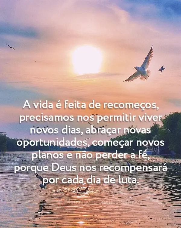 A vida é feita de recomeços. Precisamos nos permitir viver novos dias, abraçar novas oportunidades, começar novos planos e não perder a fé, porque ...