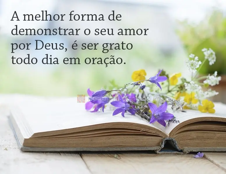 A melhor forma de demonstrar o seu amor por Deus, é ser grato todo dia em oração.