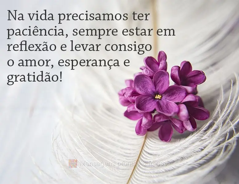 Na vida precisamos ter paciência, sempre estar em reflexão e levar consigo o amor, a esperança e a gratidão!