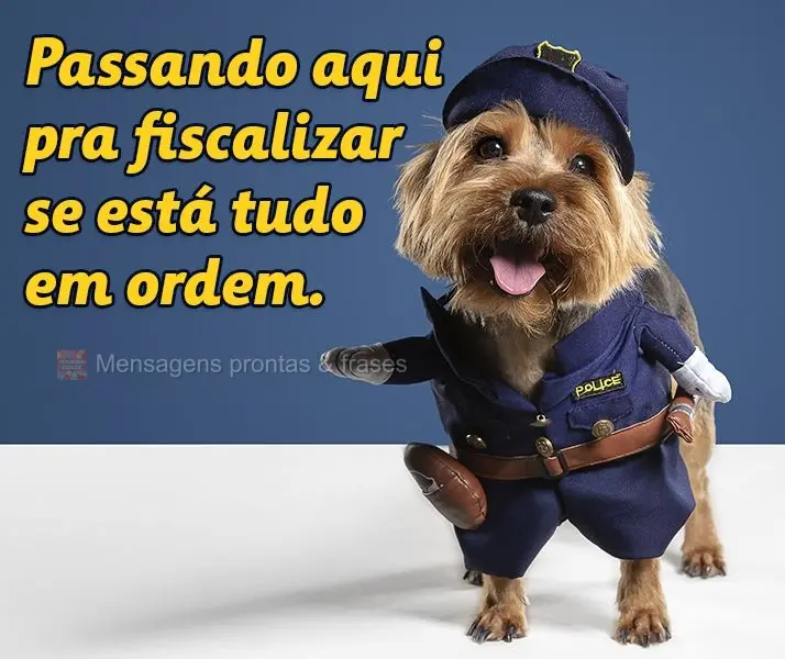 Passando aqui pra fiscalizar se está tudo em ordem.