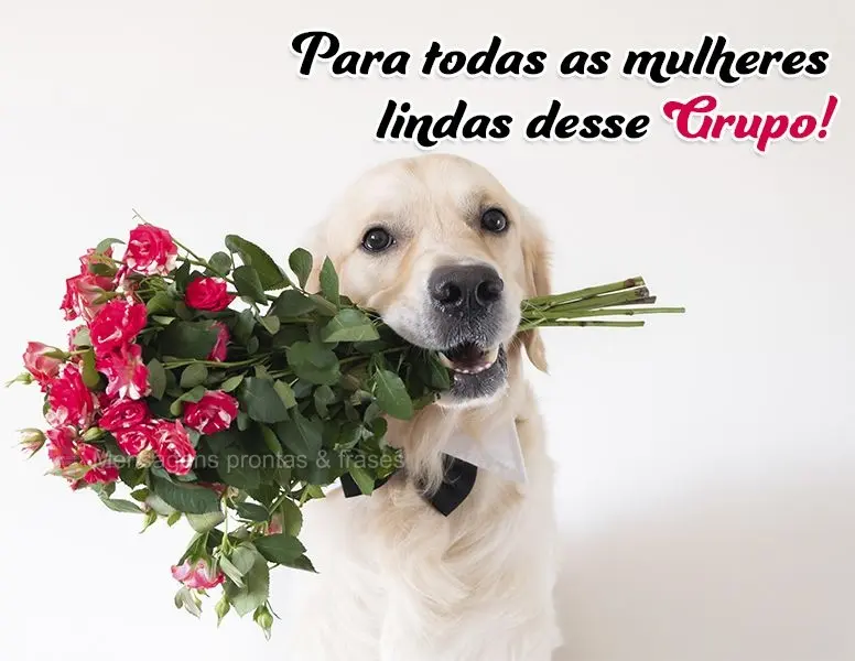 Para todas as mulheres lindas desse Grupo!