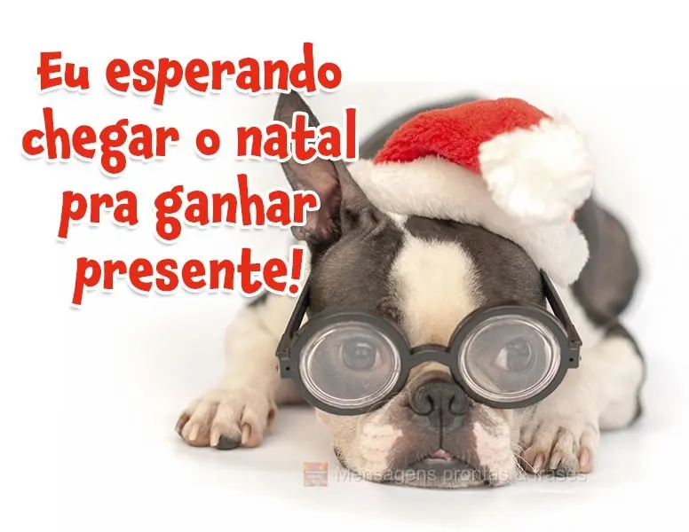 Eu esperando chegar o natal pra ganhar presente!