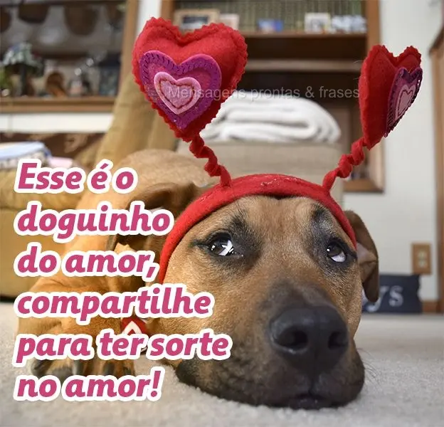 Esse é o doguinho do amor, compartilhe para ter sorte no amor!