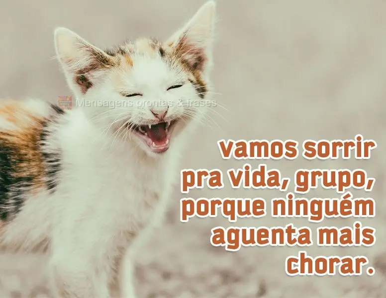 Vamos sorrir pra vida, grupo, porque ninguém aguenta mais chorar.