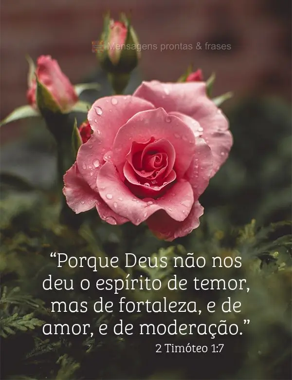 "Porque Deus não nos deu o espírito de temor, mas de fortaleza e de amor, e de moderação."  2 Timóteo 1:7