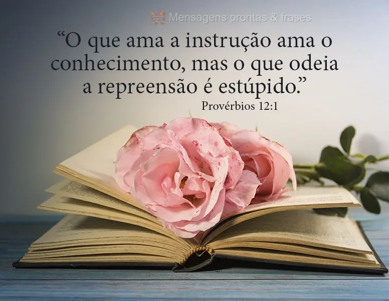 "O que ama a instrução ama o conhecimento, mas o que odeia a repreensão é estúpido." Provérbios 12:1