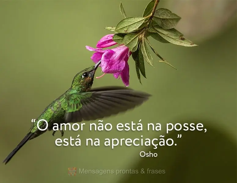 “O amor não está na posse, está na apreciação.” Osho