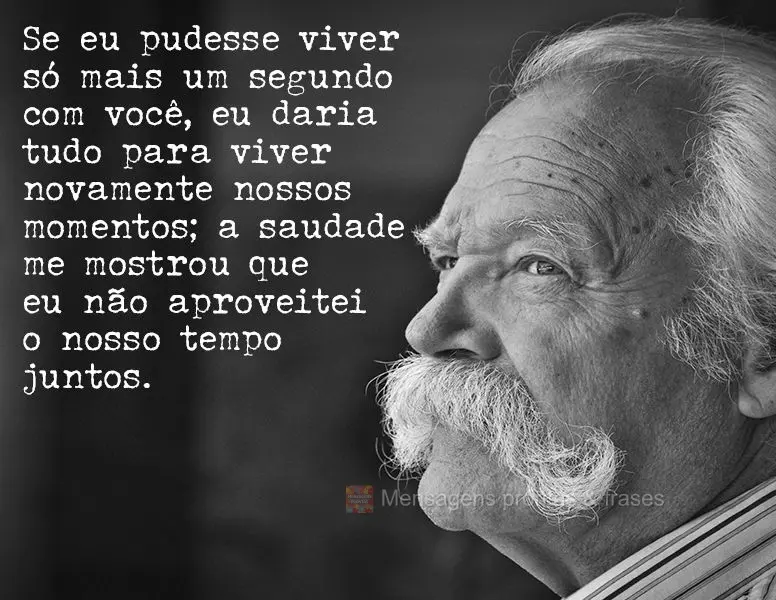 Se eu pudesse viver só mais um segundo com você, eu daria tudo para viver novamente nossos momentos; a saudade me mostrou que eu não aproveitei o noss...