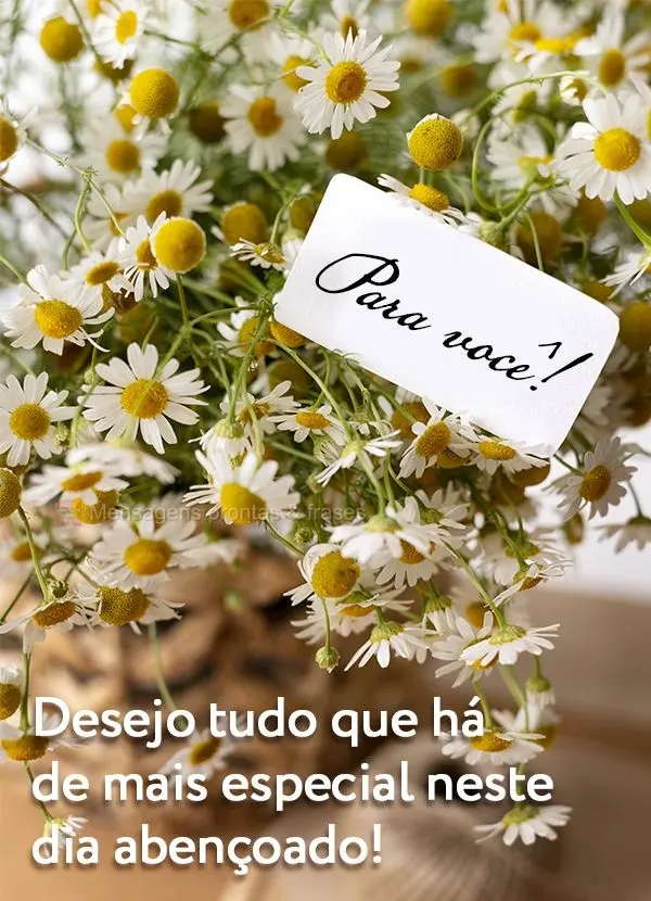 Desejo tudo que há de mais especial neste dia abençoado! Para você!