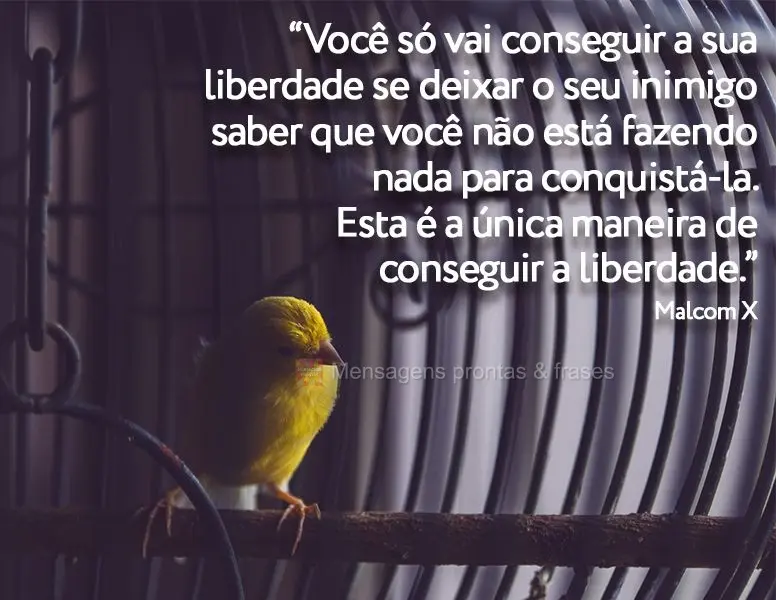 “Você só vai conseguir a sua liberdade se deixar o seu inimigo saber que você não está fazendo nada para conquistá-la. Esta é a única maneira d...