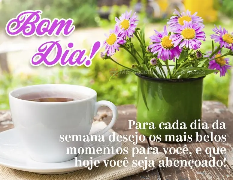 Para cada dia da semana desejo os mais belos momentos para você, e que hoje você seja abençoado! Bom dia!