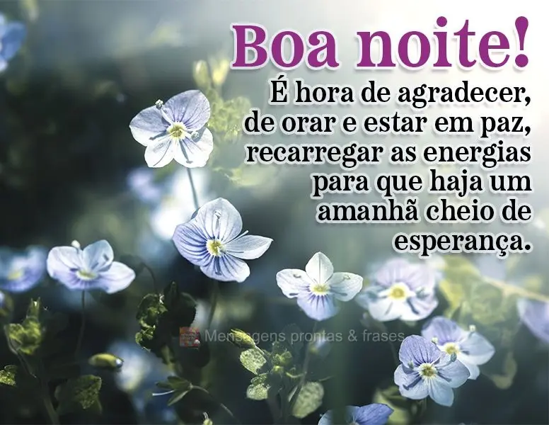 É hora de agradecer, de orar e estar em paz, recarregar as energias para que haja um amanhã cheio de esperança. Boa noite!