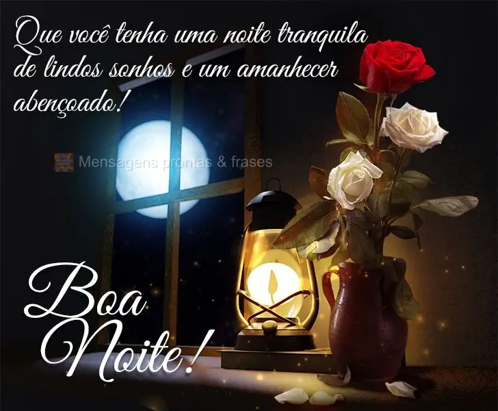 Que você tenha uma noite tranquila de lindos sonhos e um amanhecer abençoado! Boa noite!