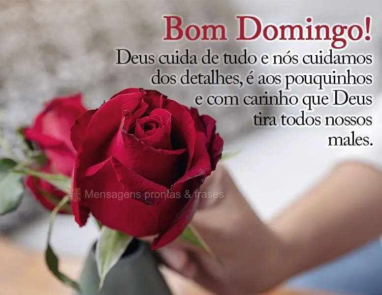 Deus cuida de tudo e nós cuidamos dos detalhes, é aos pouquinhos e com carinho que Deus tira todos os nossos males. Bom Domingo!