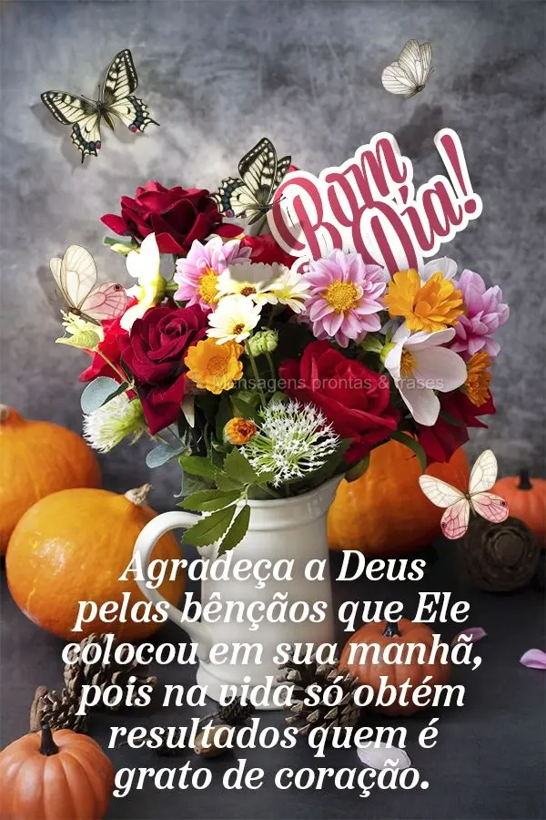 Agradeça a Deus pelas bênçãos que Ele colocou em sua manhã, pois na vida só obtém resultados quem é grato de coração. Bom dia!