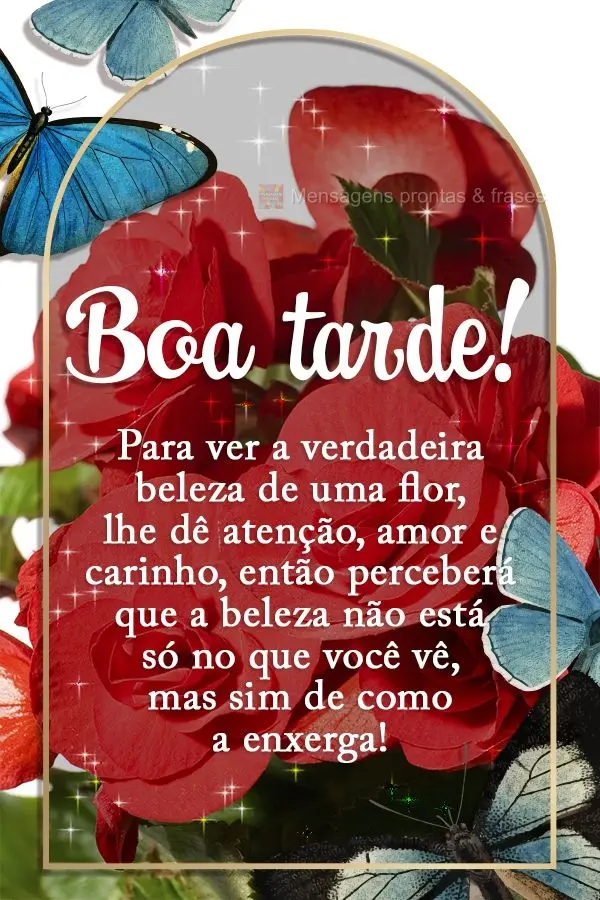 Para ver a verdadeira beleza de uma flor, lhe dê atenção, amor e carinho, então perceberá que a beleza não está só no que você vê, mas sim como...