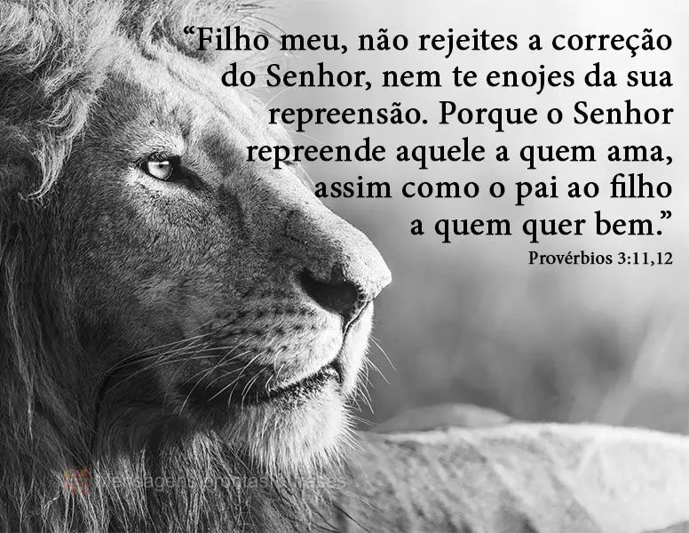 “Filho meu, não rejeites a correção do Senhor, nem te enojes da sua repreensão. Porque o Senhor repreende aquele a quem ama, assim como o pai ao fi...