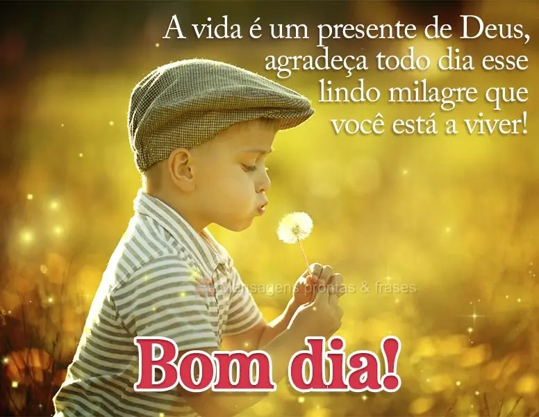 A vida é um presente de Deus, agradeça todo dia esse lindo milagre que você está a viver! Bom dia!