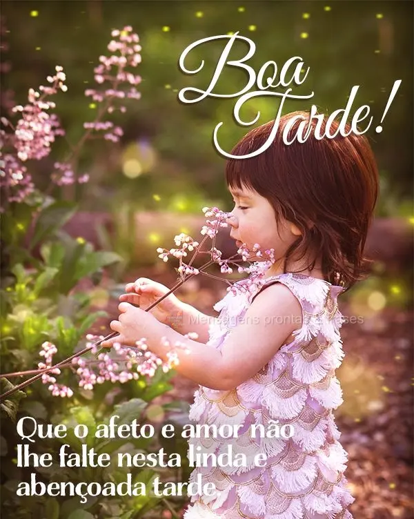 Que o afeto e amor não lhe falte nesta linda e abençoada tarde. Boa tarde!