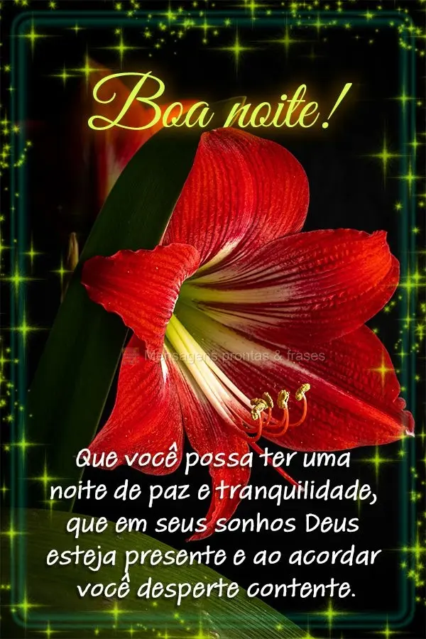 Que você possa ter uma noite de paz e tranquilidade, que em seus sonhos Deus esteja presente e ao acordar você desperte contente. Boa noite!