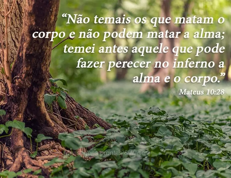 “Não temais os que matam o corpo e não podem matar a alma; temei antes aquele que pode fazer perecer no inferno a alma e o corpo.” Mateus 10:28