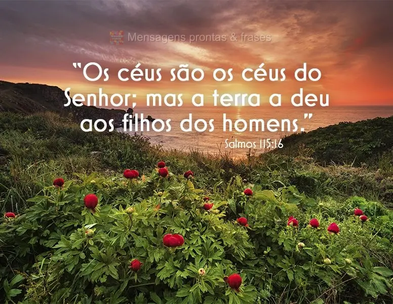 *Salmos: “Os céus são os céus do Senhor; mas a terra a deu aos filhos dos homens.” Salmos 115:16