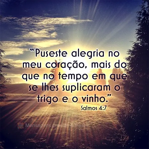 “Puseste alegria no meu coração, mais do que no tempo em que se lhes suplicaram o trigo e o vinho.” Salmos 4:7