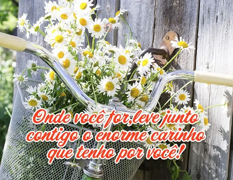 Onde você for, leve junto contigo o enorme carinho que tenho por você!