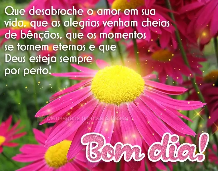 Que desabroche o amor em sua vida, que as alegrias venham cheias de bênçãos, que os momentos se tornem eternos e que Deus esteja sempre por perto! Bom...