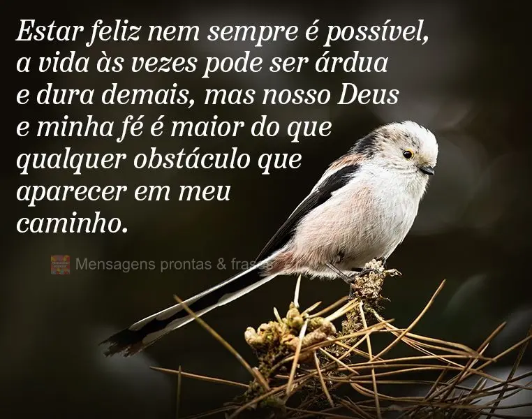 Estar feliz nem sempre é possível, a vida às vezes pode ser árdua e dura demais, mas nosso Deus e minha fé é maior do que qualquer obstáculo que a...