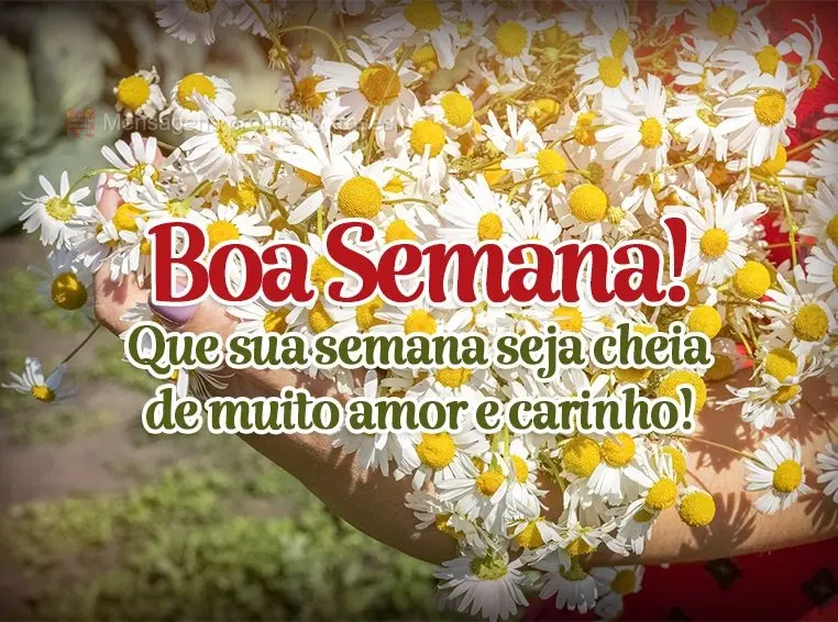 Que sua semana seja cheia de amor e muito carinho! Boa Semana!