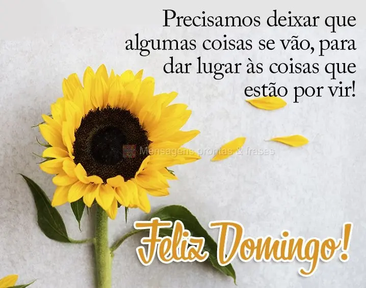 Precisamos deixar que algumas coisas se vão, para dar lugar às coisas que estão por vir! Feliz Domingo!