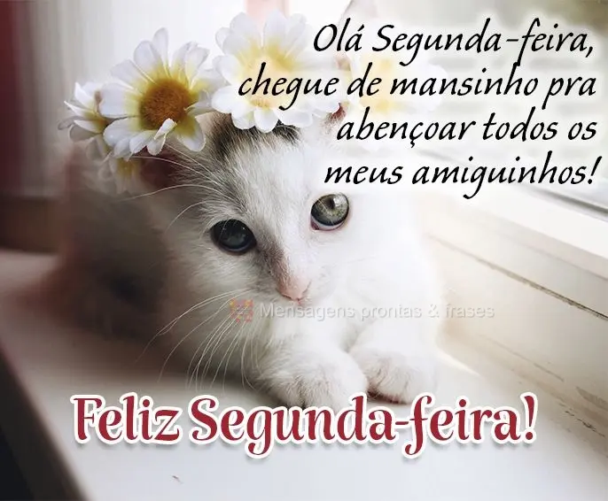 Olá Segunda-feira! Chegue de mansinho pra abençoar todos os meus amiguinhos! Feliz Segunda-feira!