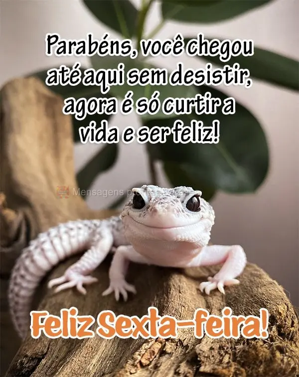 Parabéns, você chegou até aqui sem desistir, agora é só curtir a vida e ser feliz! Feliz Sexta-feira!