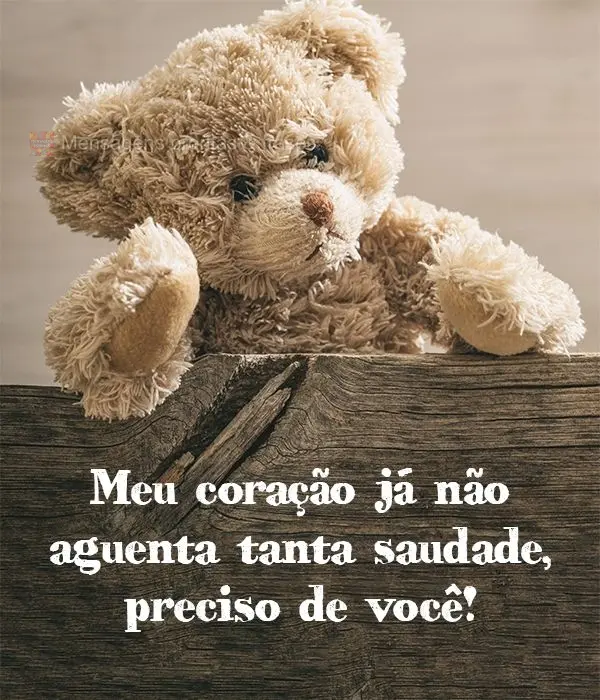 Meu coração já não aguenta tanta saudade, preciso de você!