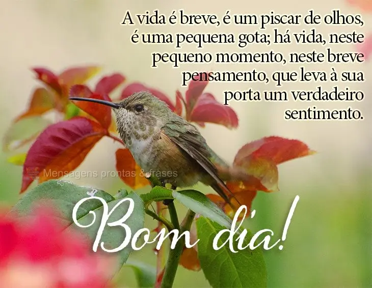 A vida é breve, é um piscar de olhos, é uma pequena gota; há vida, neste pequeno momento, neste breve pensamento, que leva à sua porta um verdadeiro...