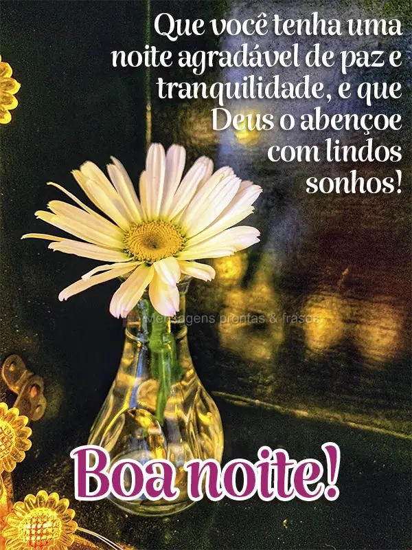 Que você tenha uma noite agradável de paz e tranquilidade, e que Deus o abençoe com lindos sonhos! Boa noite!