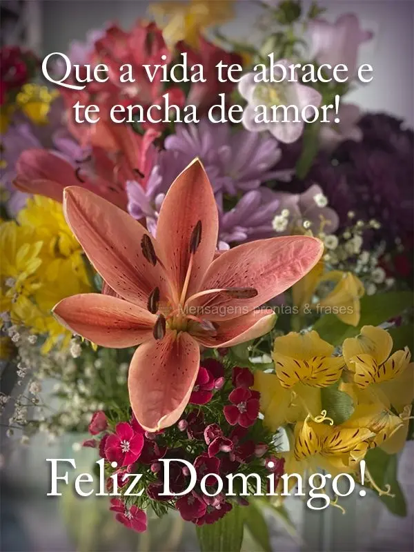 Que a vida te abrace e te encha de amor! Feliz Domingo!