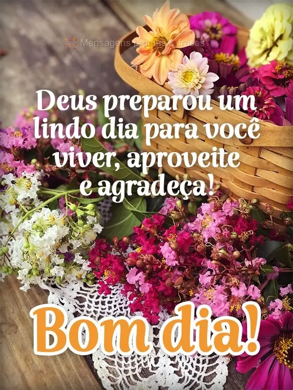 Deus preparou um lindo dia para você viver, aproveite e agradeça! Bom dia!