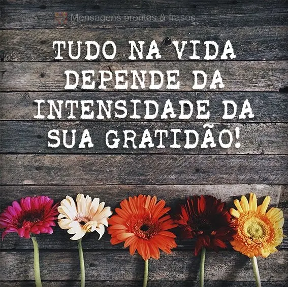 Tudo na vida depende da intensidade da sua gratidão!