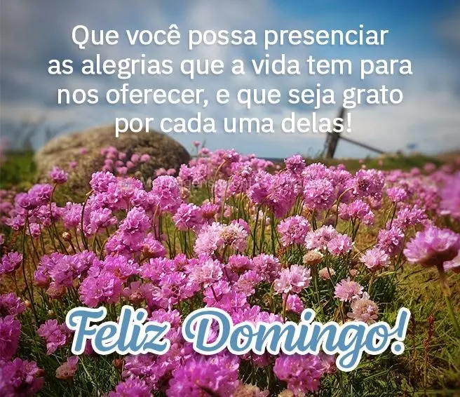 Que você possa presenciar as alegrias que a vida tem para nos oferecer, e que seja grato por cada uma delas! Feliz Domingo!