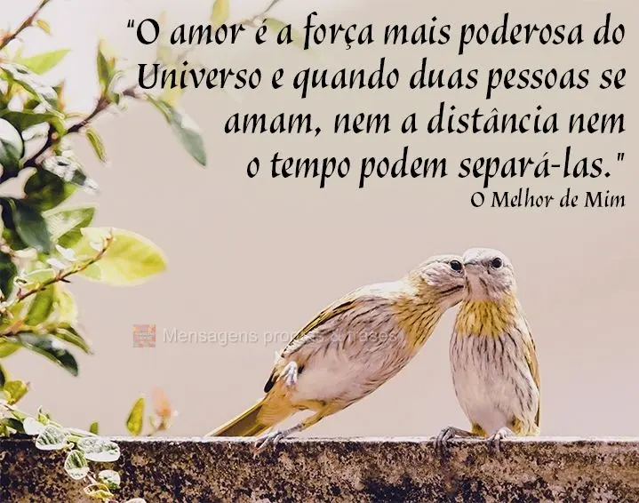 “O amor é a força mais poderosa do Universo e quando duas pessoas se amam, nem a distância nem o tempo podem separá-las.” O Melhor de Mim